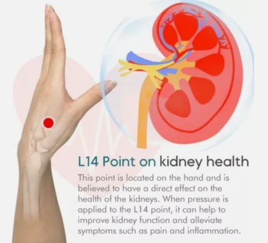 Doctor Approved™ Sugar Control LI4 Acupressure Point Clip 🇩🇪